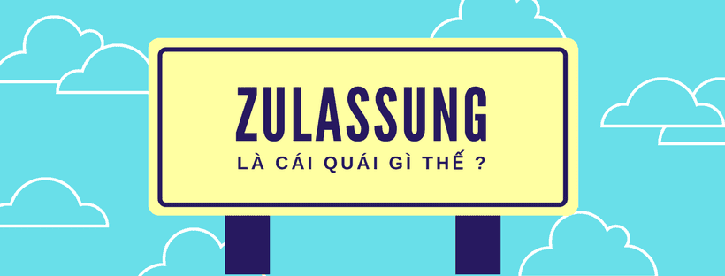 Zulassung là gì - các cách xin Zu hiệu quả