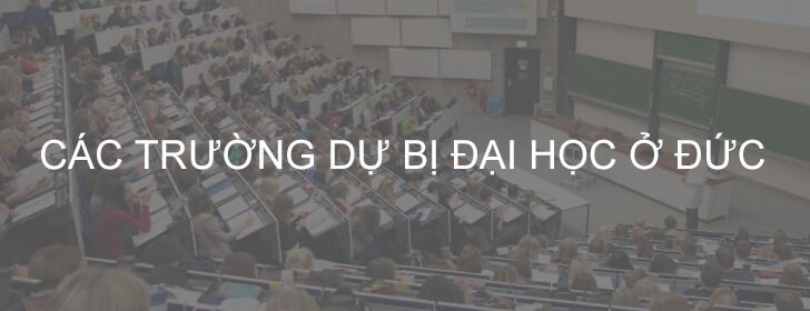 Thông tin về trường Dự bị Đại học