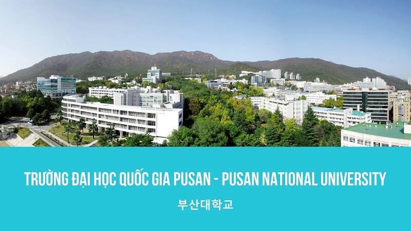 Đại học Quốc gia Busan Hàn Quốc