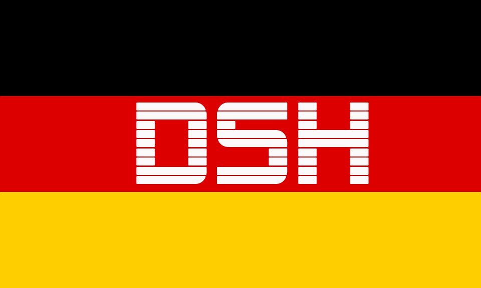 DSH là gì và những điều du học sinh Đức cần biết xung quanh bài thi DSH