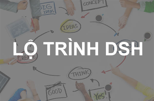 Lộ trình học tập DSH là gì?