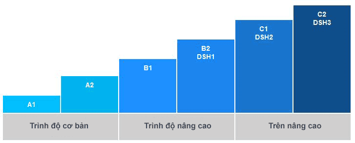 Những cấp độ DSH là gì?