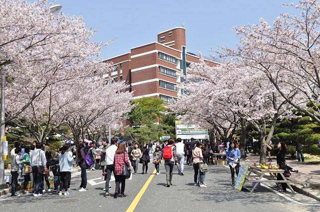 Du học Đại học Daejeon Hàn Quốc 2019