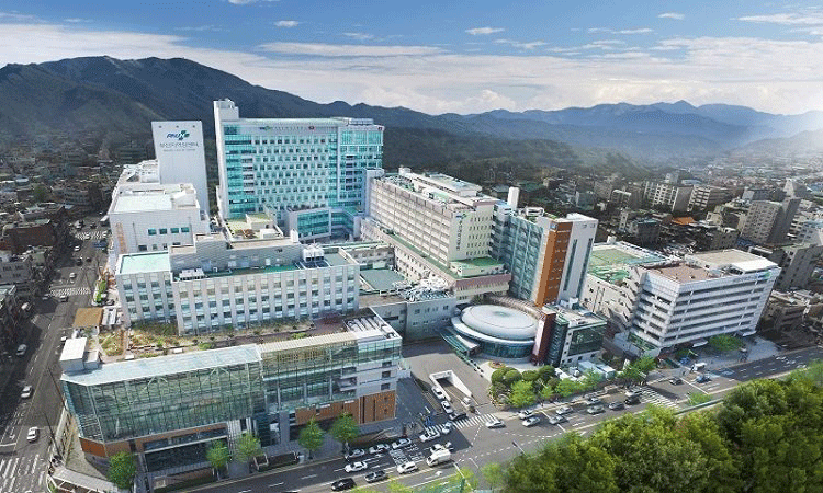 Khuôn viên Đại học Quốc gia Pusan