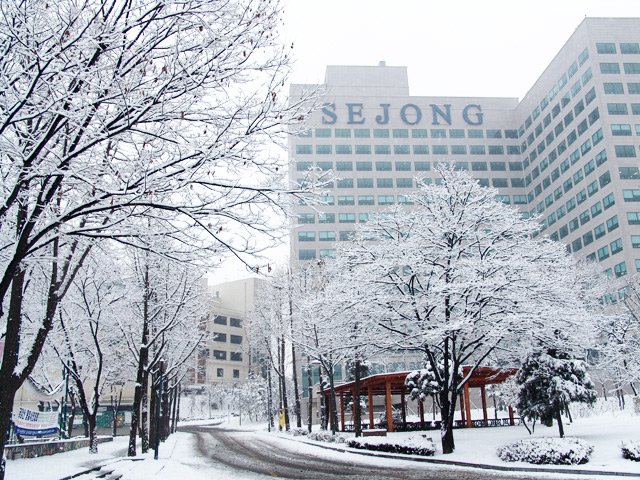 Đại học Sejong vào mùa đông