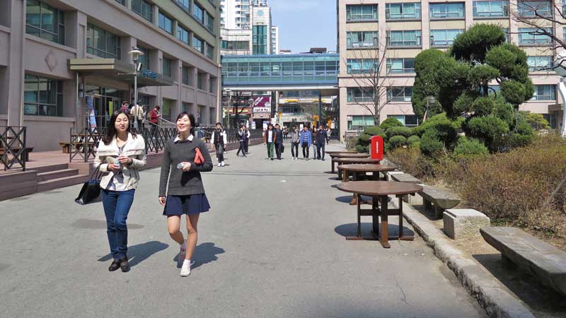 Có rất nhiều sự lựa chọn dành cho bạn khi học ngành du lịch ở Hàn Quốc