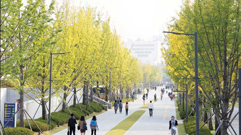 Lượng du học Hàn Quốc ngành kinh tế đang ngày một tăng