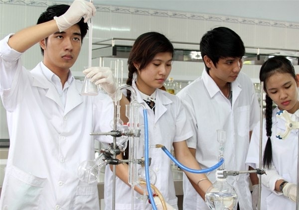 Du học Hàn Quốc học bổng giáo sư có cả ưu điểm và nhược điểm