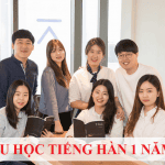 Du học tiếng Hàn 1 năm đang trở thành xu hướng của giới trẻ