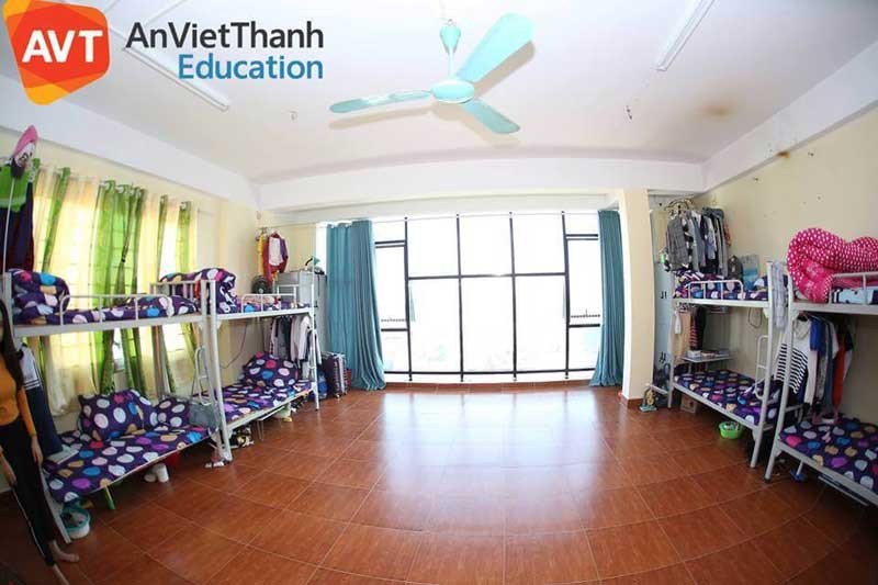 Tổ chức giáo dục AVT Education là đơn vị tư vấn du học Hàn Quốc có ký túc xá cho những bạn ở xa