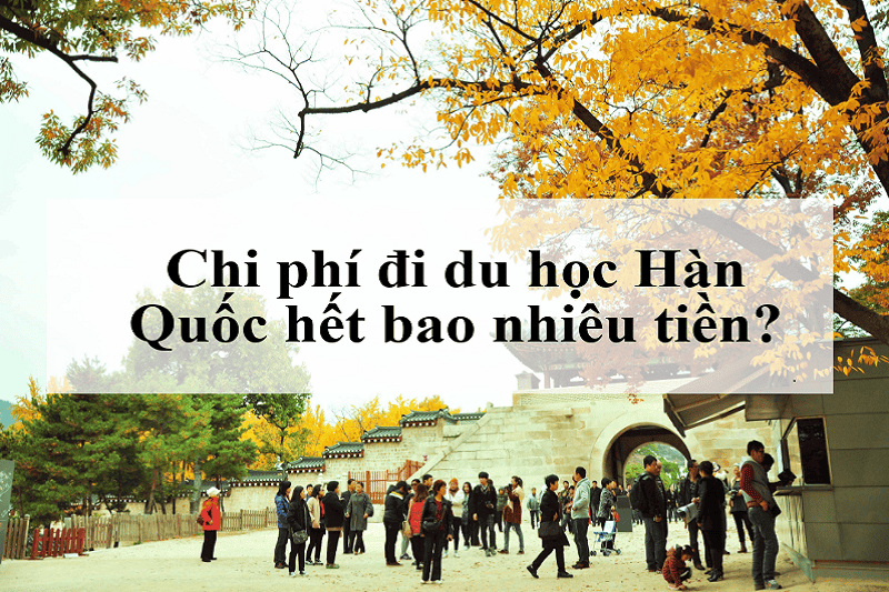 Du học tiếng Hàn tại Hàn Quốc hết bao nhiêu tiền?