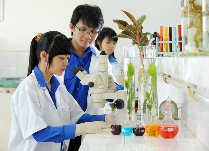 Sinh viên học ngành môi trường ở Hàn Quốc luôn được đánh giá rất cao