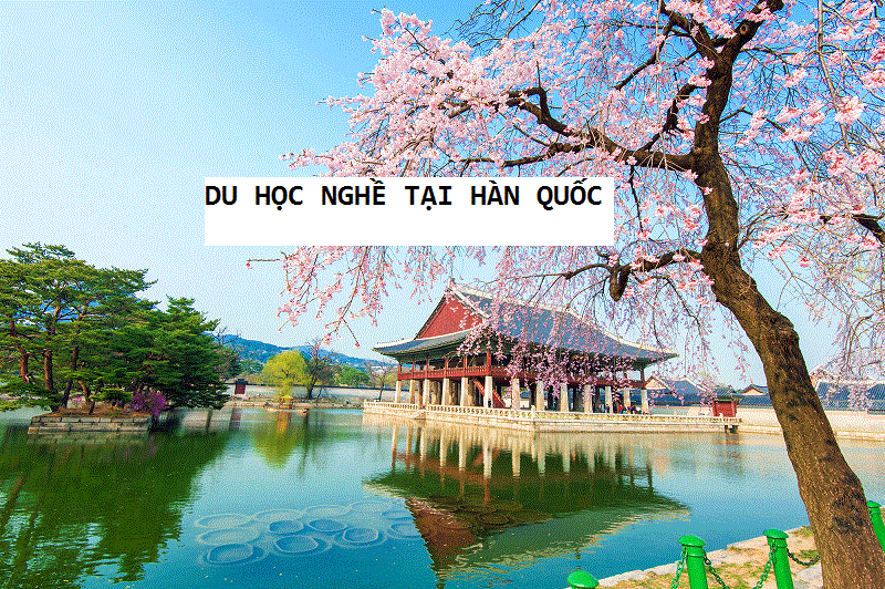 Du học nghề Hàn Quốc