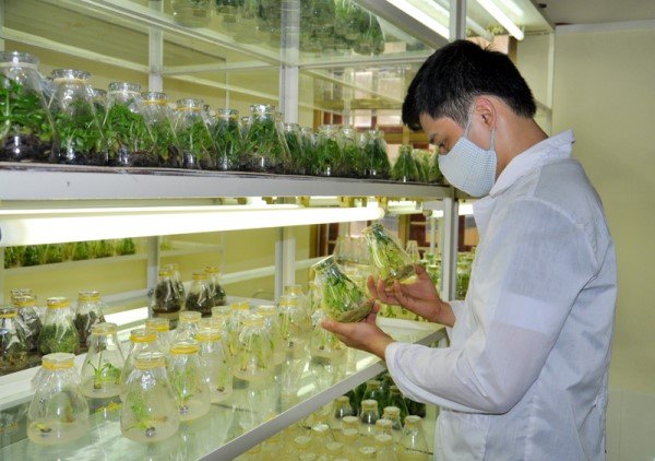 Thông tin du học Hàn Quốc ngành nông nghiệp